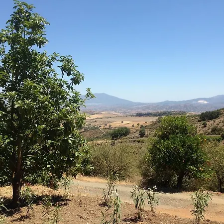 Bed & Breakfast Cortijo La Pura *